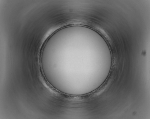 X0000093240986200709261526
