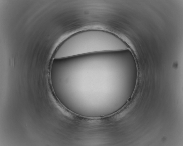 X0000093240989200709261526