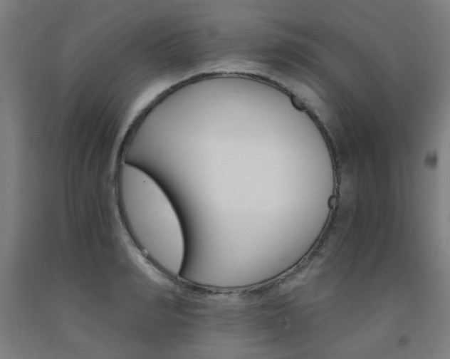 X0000093240990200709261526