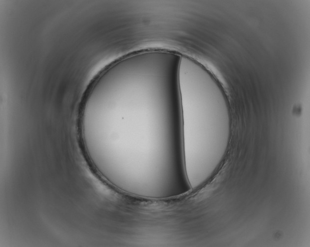 X0000093240991200709261526