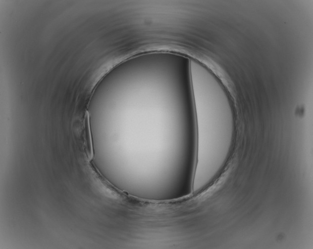 X0000093240993200709261526