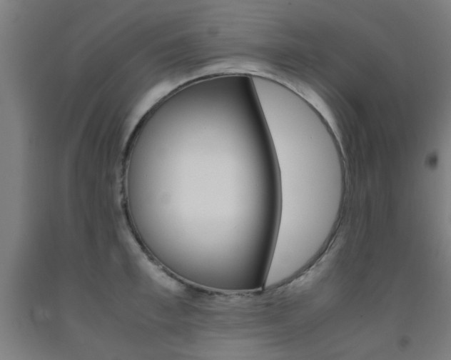 X0000093240997200709261526