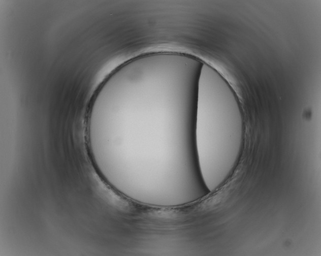 X0000093240998200709261526