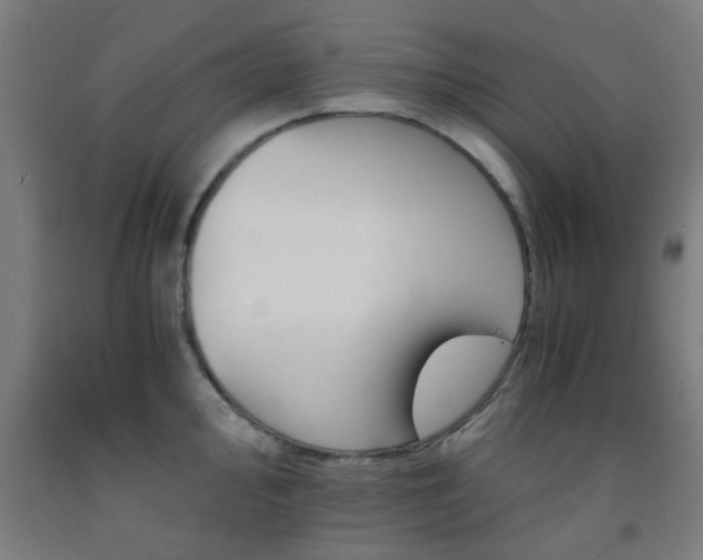 X0000093241000200709261526