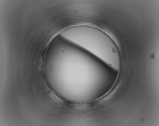 X0000093241001200709261526