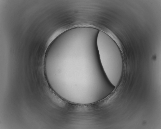 X0000093241002200709261526