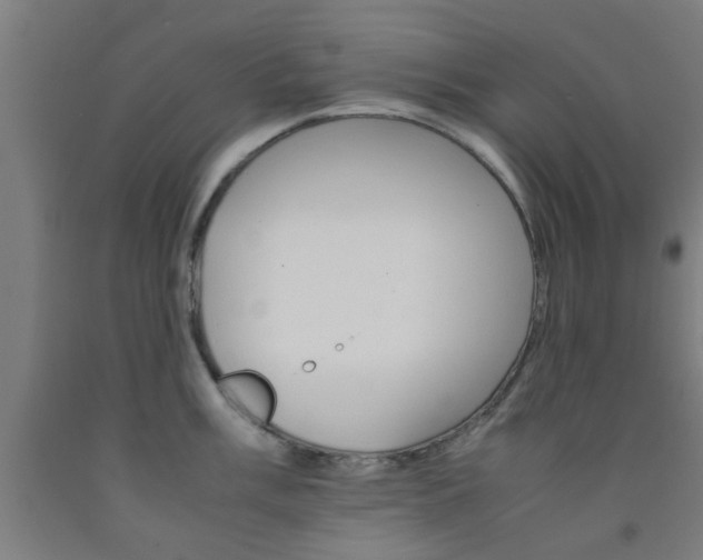 X0000093241003200709261526