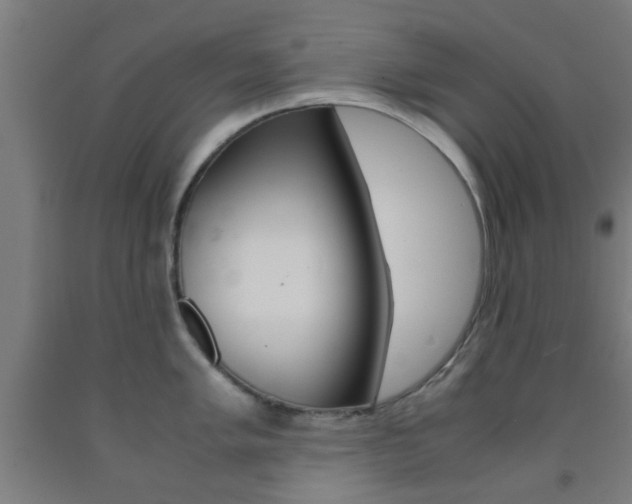 X0000093241005200709261526
