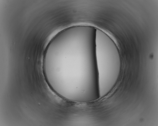 X0000093241006200709261526