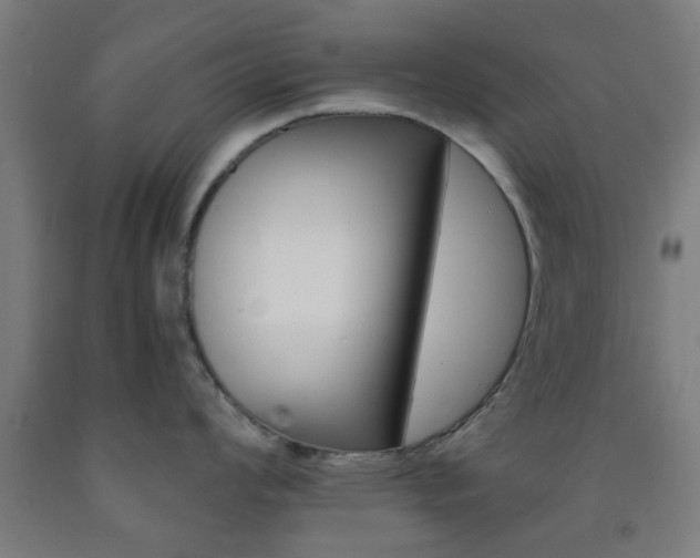X0000093241008200709261526