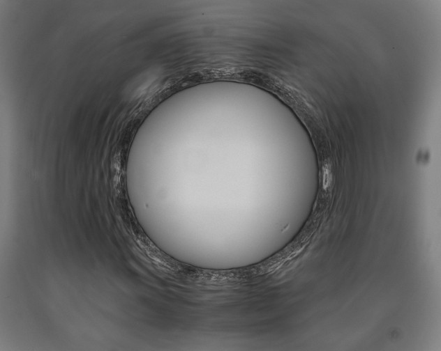 X0000093241011200709261525