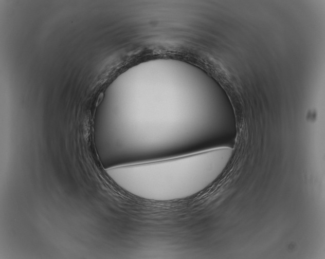 X0000093241012200709261525