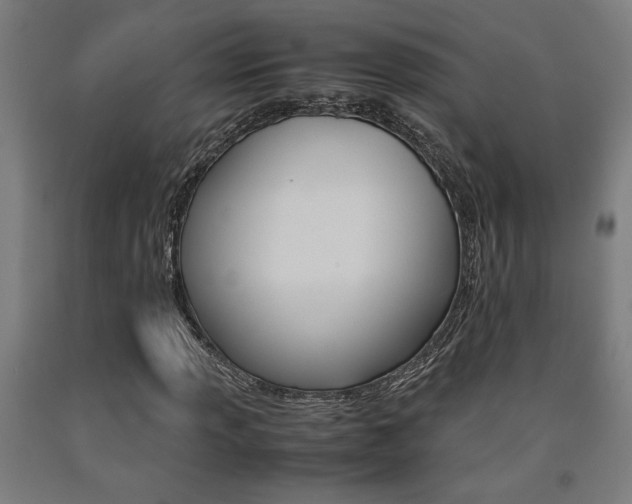 X0000093241013200709261525