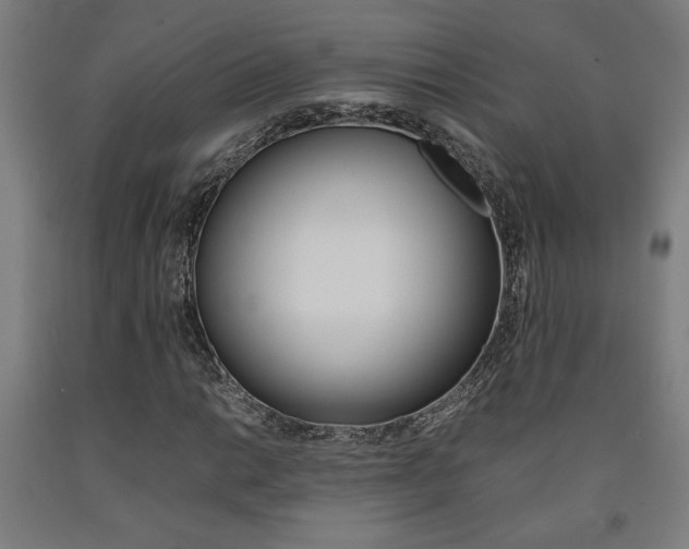 X0000093241014200709261525