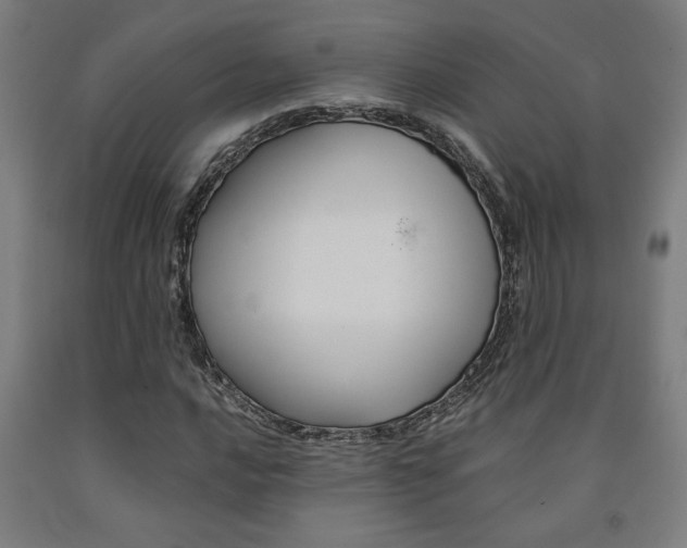 X0000093241016200709261525