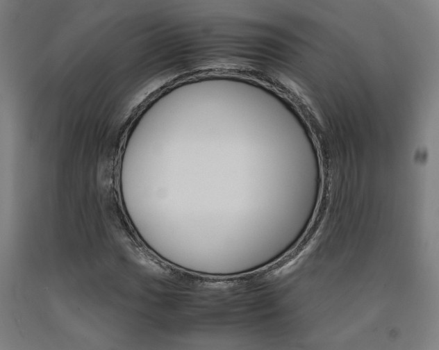 X0000093241017200709261525
