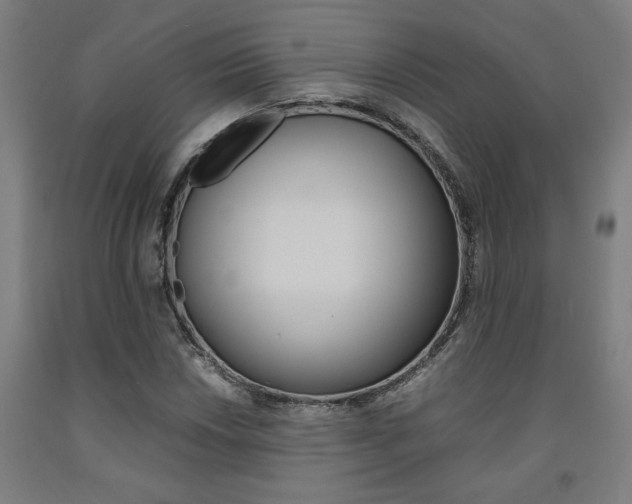 X0000093241018200709261525