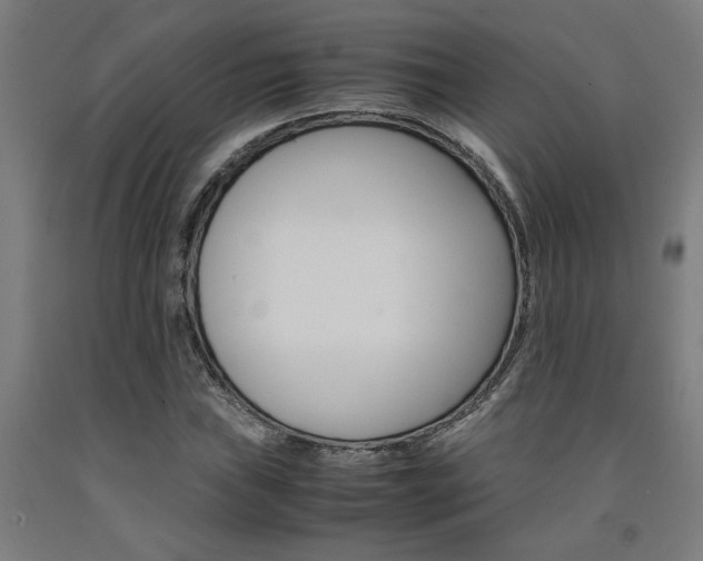 X0000093241019200709261525
