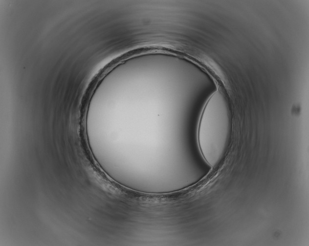 X0000093241020200709261525