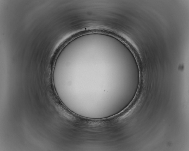 X0000093241021200709261525