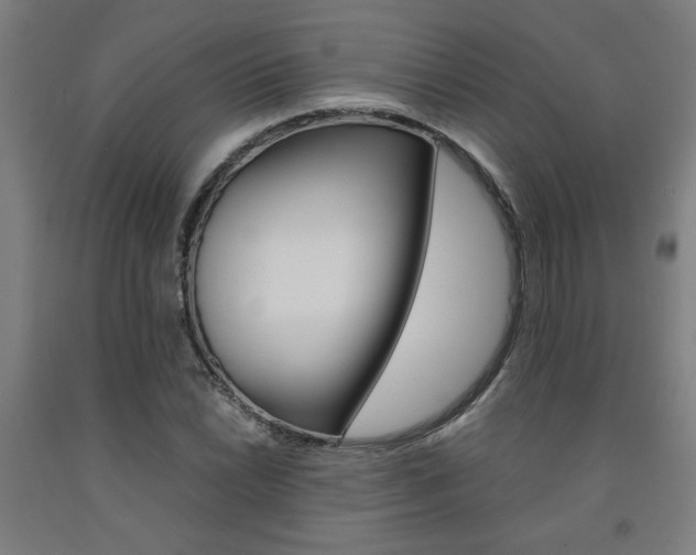 X0000093241022200709261526