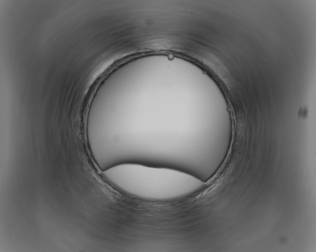 X0000093241023200709261526