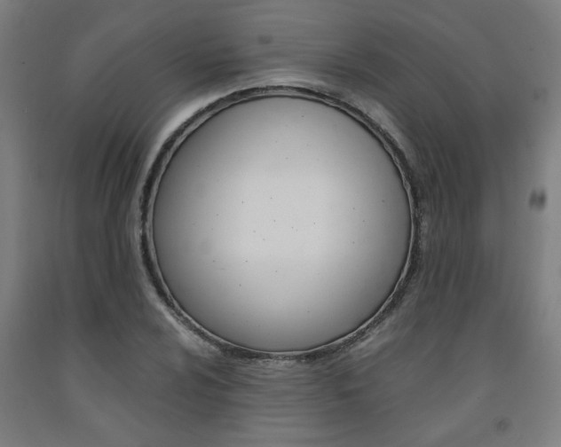 X0000093241024200709261526