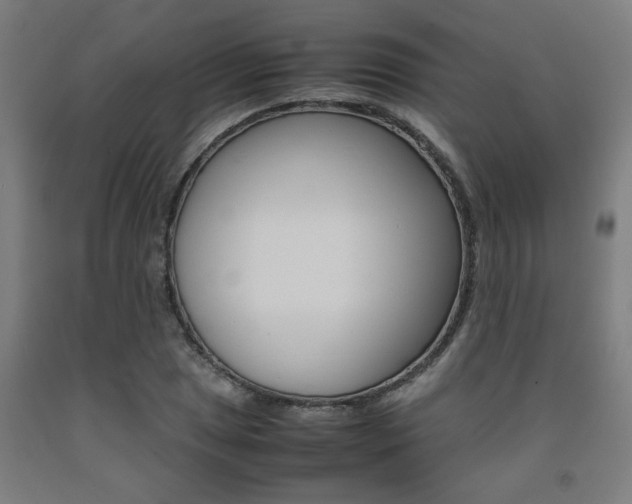 X0000093241025200709261526