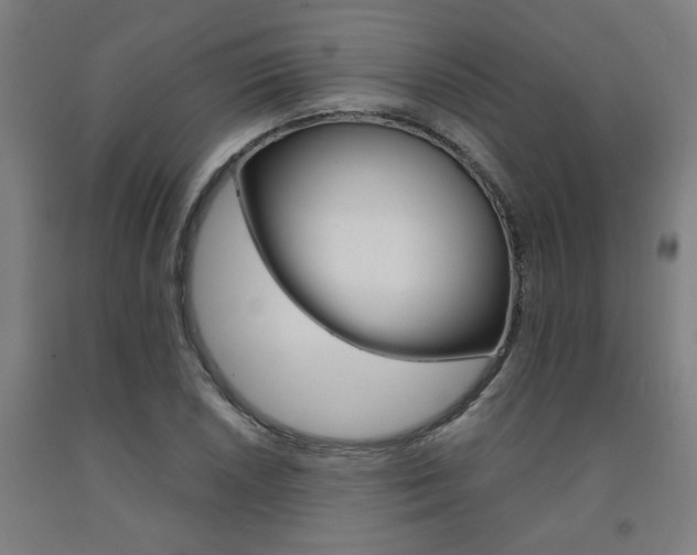 X0000093241026200709261526