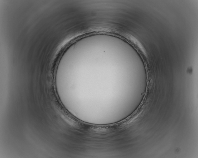 X0000093241027200709261526