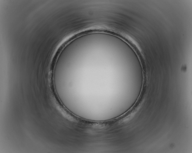 X0000093241029200709261526