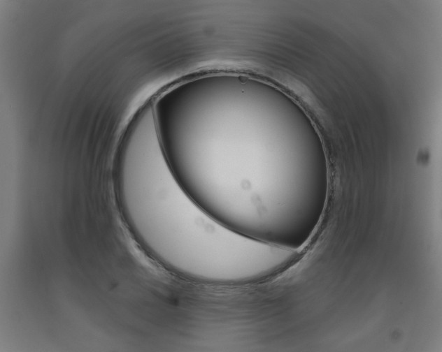X0000093241030200709261526