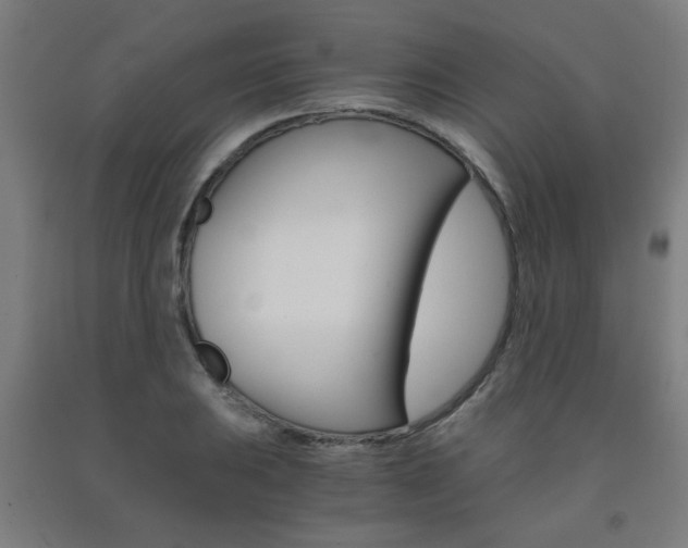 X0000093241031200709261526