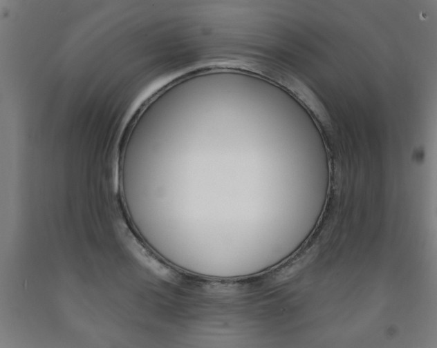 X0000093241036200709261526