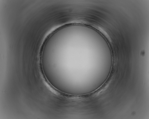 X0000093241037200709261526