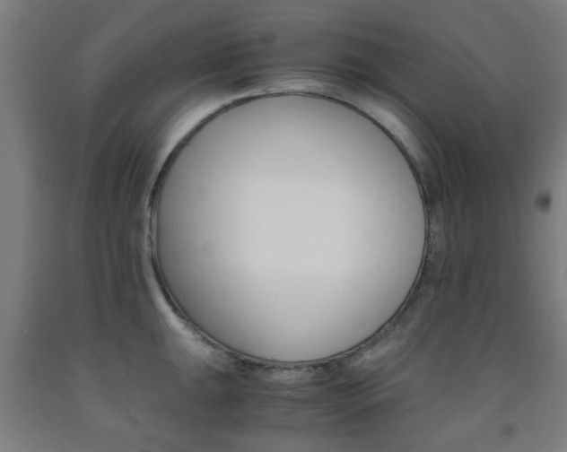 X0000093241047200709261526