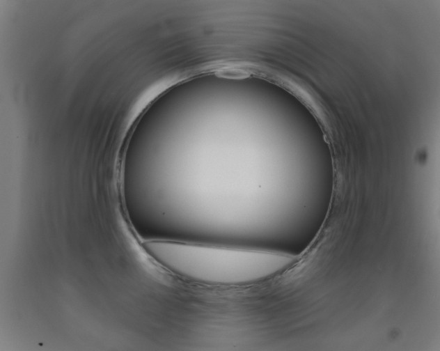 X0000093241050200709261526