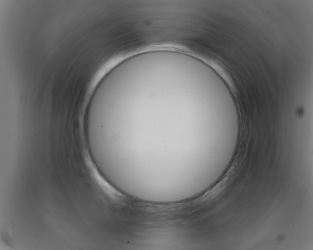 X0000093241054200709261526