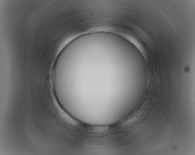 X0000093241055200709261526