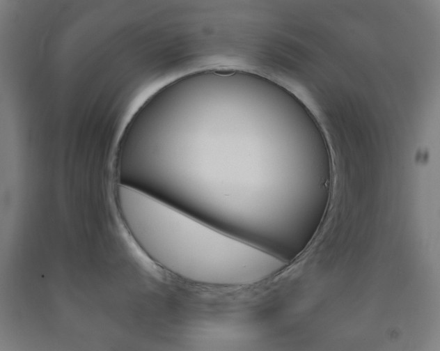 X0000093241056200709261526