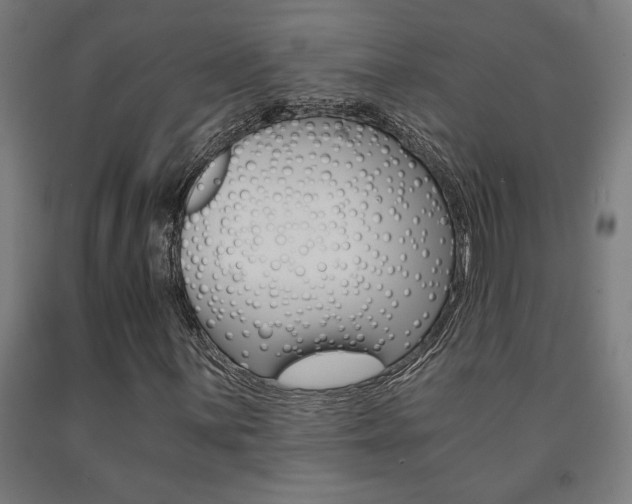 X0000093241059200709261525