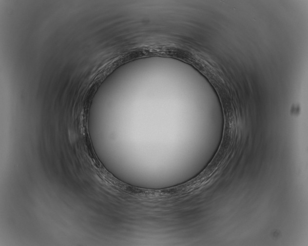 X0000093241060200709261525