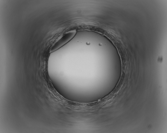 X0000093241061200709261525