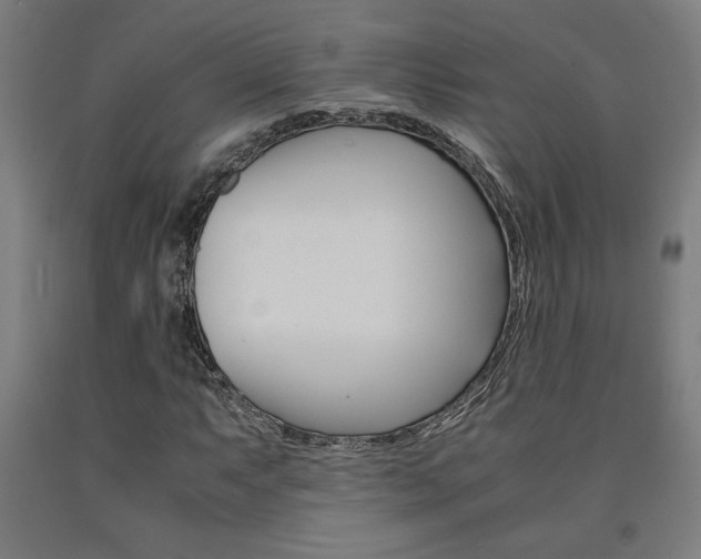 X0000093241063200709261525