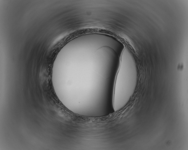 X0000093241064200709261525