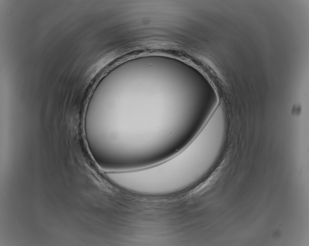X0000093241065200709261525