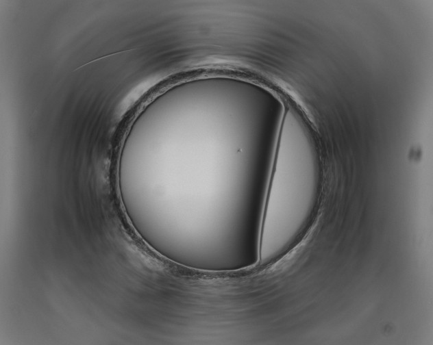 X0000093241066200709261525
