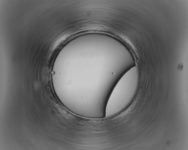 X0000093241067200709261525