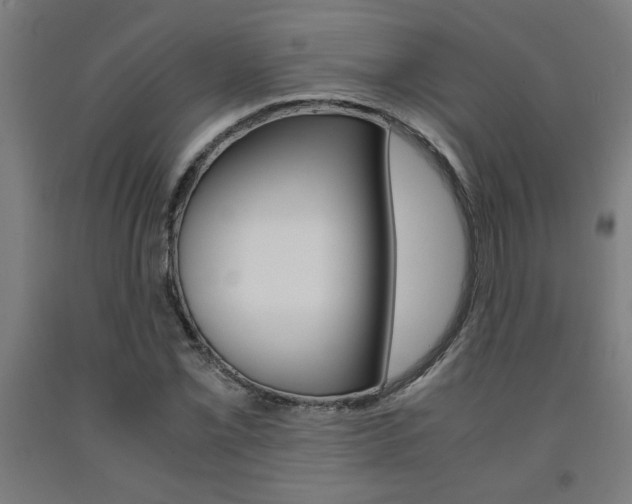 X0000093241069200709261525
