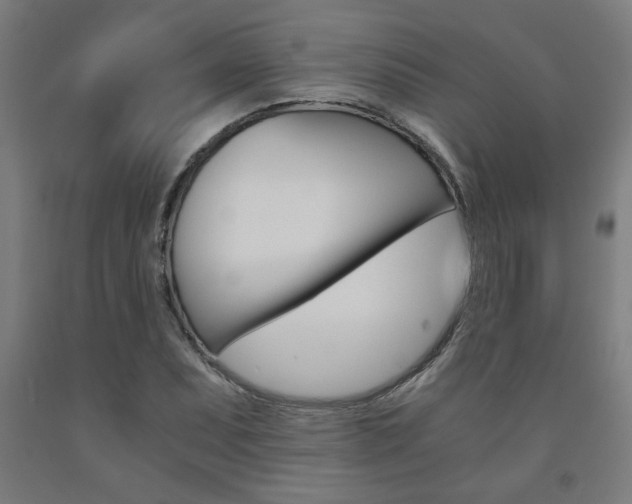 X0000093241071200709261525